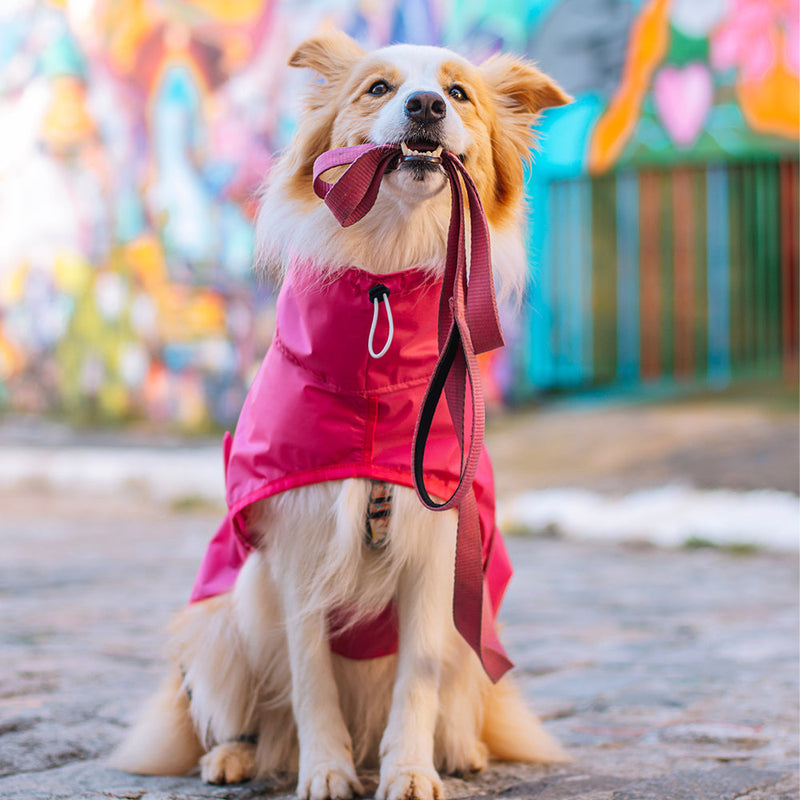 Capa de Chuva para Cachorro Lotus Pink