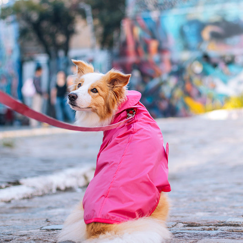 Capa de Chuva para Cachorro Lotus Pink