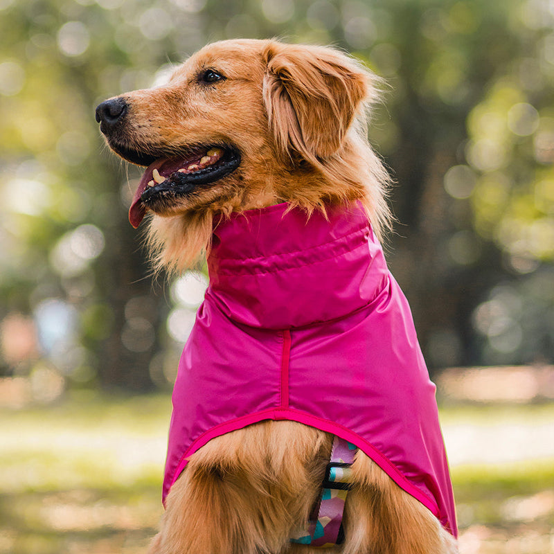 Capa de Chuva para Cachorro Lotus Pink