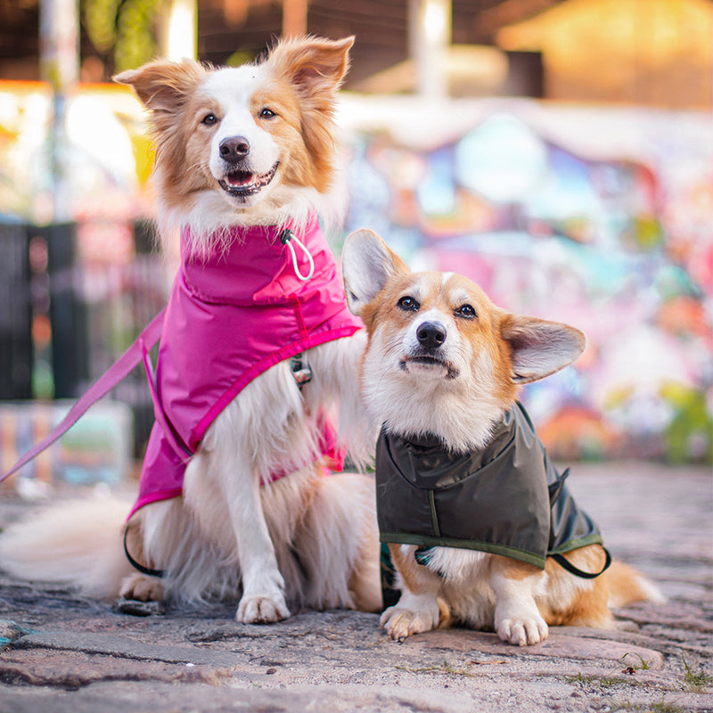 Capa de Chuva para Cachorro Lotus Pink